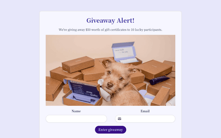 Giveaway Entry Form Template template image