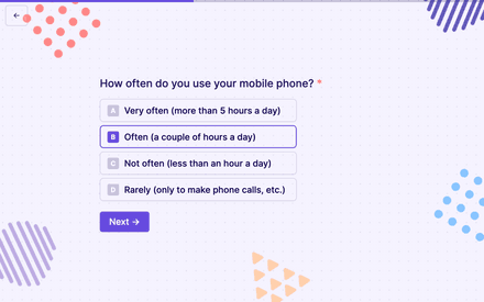 Phone Survey Template template image